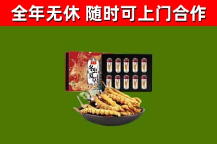 内黄县回收冬虫夏草价格