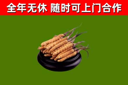 内黄县烟酒回收冬虫夏草.jpg